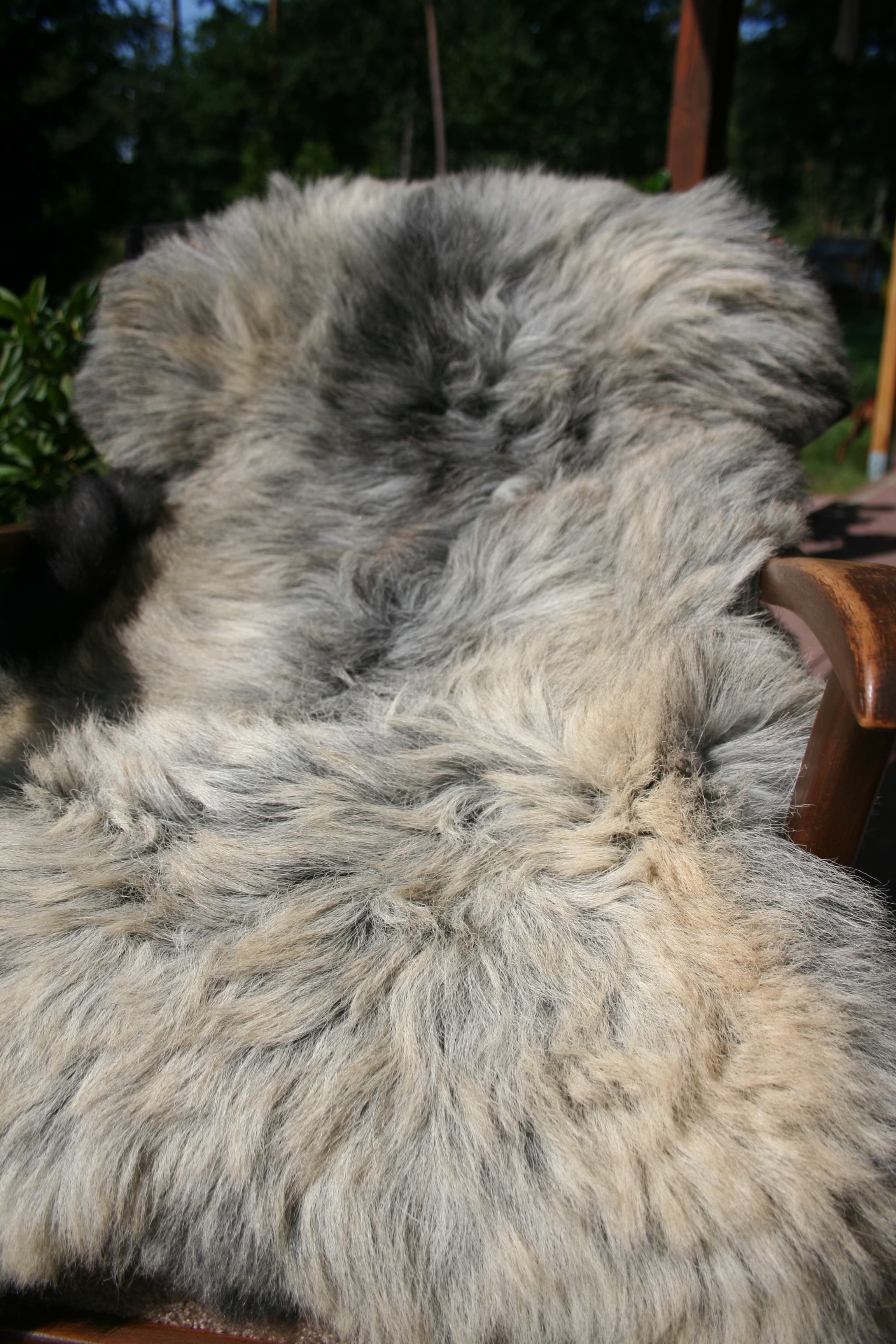 Heidschnuckenfell
